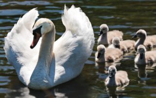 Your Family is Your Small World - Motivational Blogs - Motivation N You